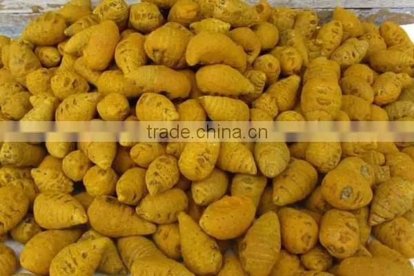 Dried Turmeric Exporters/Turmeric Curcumin photo-4