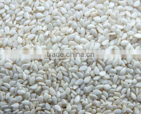 Best Price Hulled Sesame Seeds for Importers photo-2