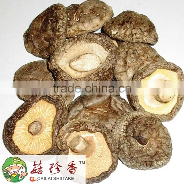 Shitake Mushroom Extract photo-3