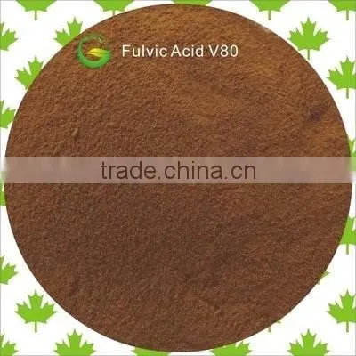 Lyphar Supply High Purity High Quality and Functionality Organic Pea Protein