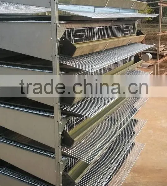 China Sell Automatic Poultry Comericial Cage for Romania photo-3
