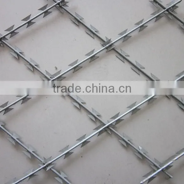 Qiaoshi Razor Barbed Blade Concertina Wire Military Use photo-6