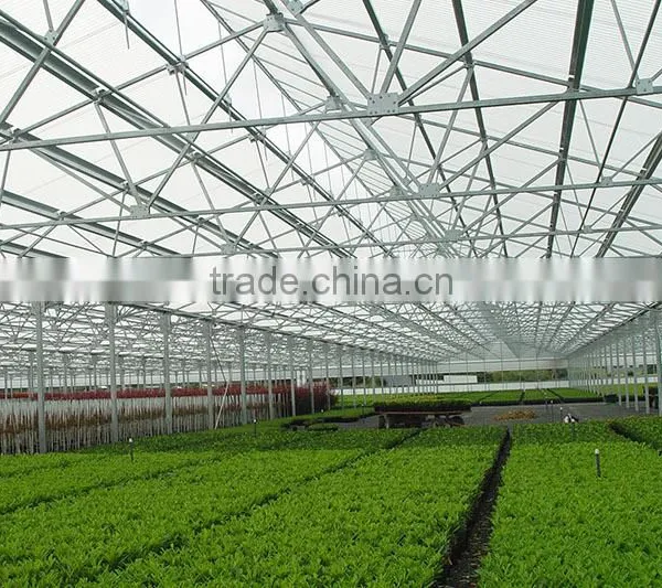 Commercial Greenhouses China photo-2