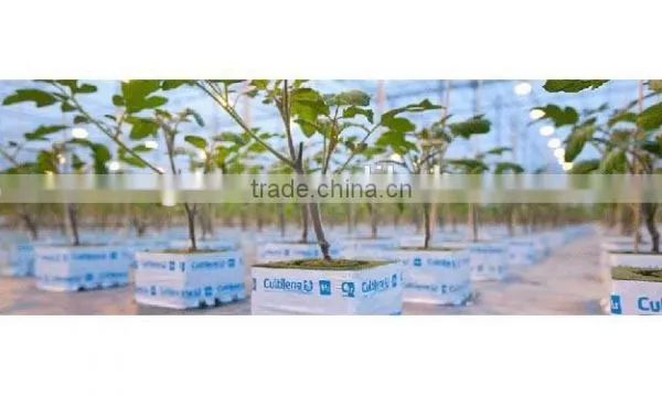 Vegetable Greenhouse photo-6