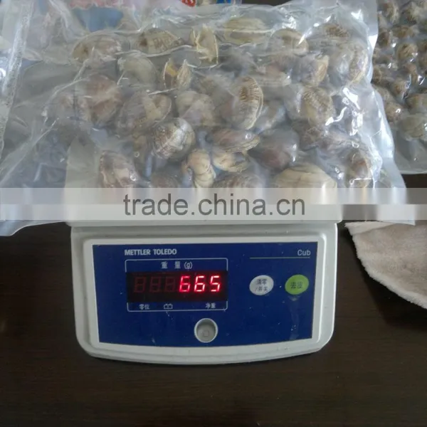 New Season High Quality Frozen Vacuum Packed Short Necked Clam photo-5