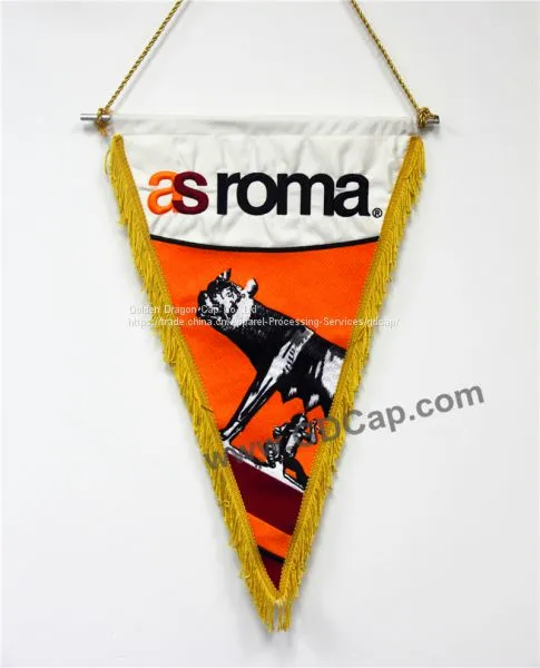 Flag photo-2