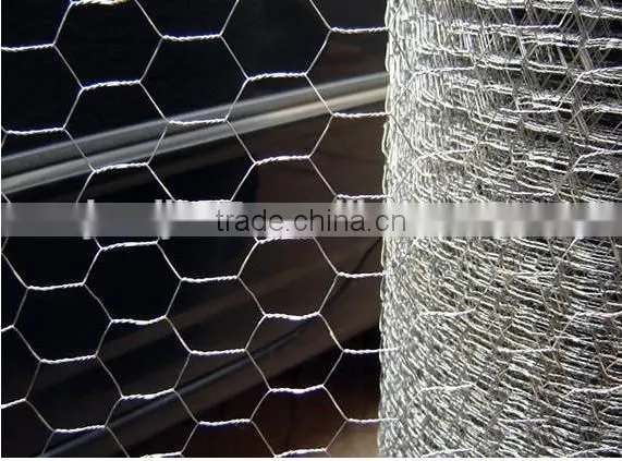 Hexagonal Galvanized Chicken Farming Wire Mesh photo-4