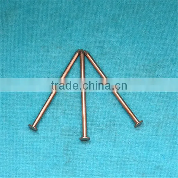 Concrete Brass Nail photo-5