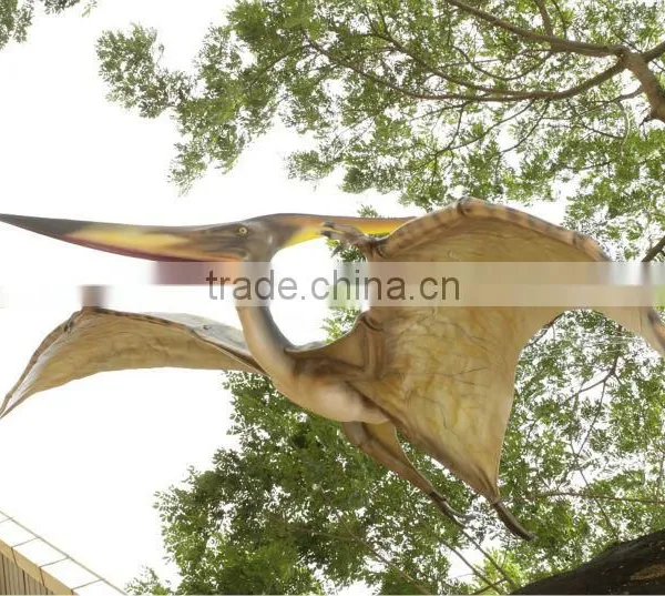 Pteranodont photo-4
