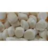 IQF SEA SCALLOP, ROE