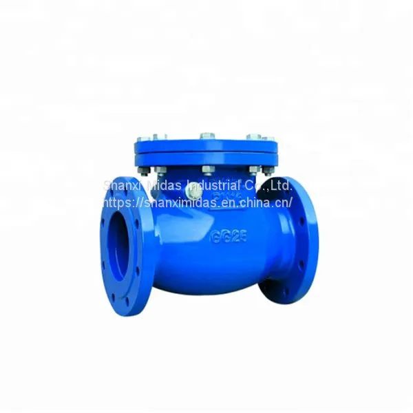 DIN Ductile Cast Iron Flanged End Swing Check Valve photo-5
