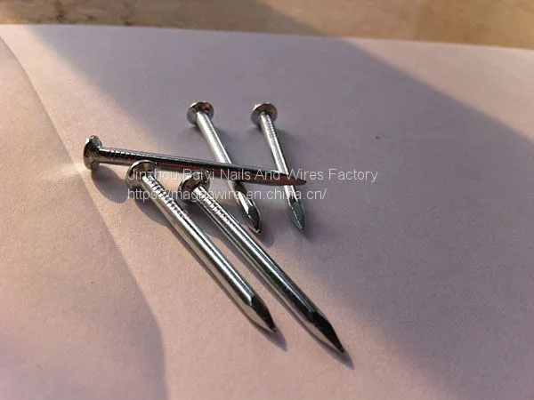 Polished Common Iron Nail photo-2