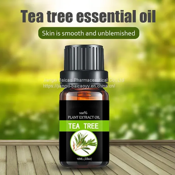 Tea Tree Essential Oil For Skin Body Aroma Humidifier Diffuser In Bulk Price Pure Natural