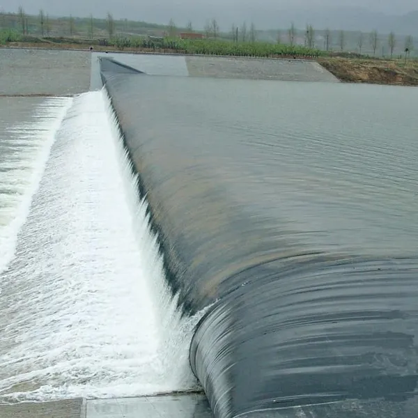 Customized Hydraulic Elevator Dam-- photo-2