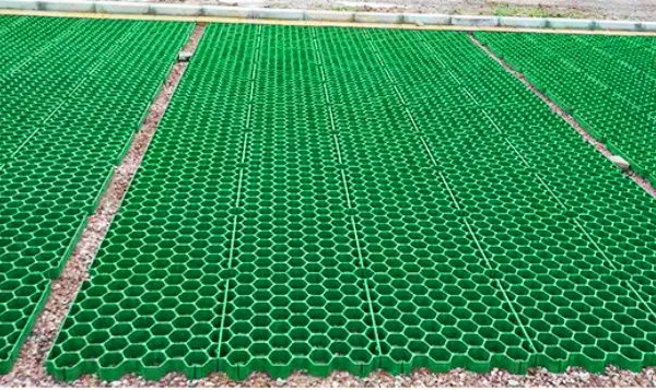 5cm7cm Flower Mouth Flat Mouth Grass Green Parking Lot Fire Lane Roof Garden Grass Planting Grid photo-4