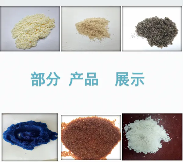 Paclitaxel extraction resin