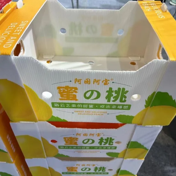 Custom Foldable Plastic Corrugated Boxes – Eco-Friendly Transport Packaging for Farm Products