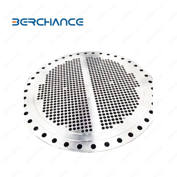 BERCHANCE Stainless Steel Heat Exchanger | Shell and Tube Heat Transfer Equipment for Chemical & Food Industry photo-5