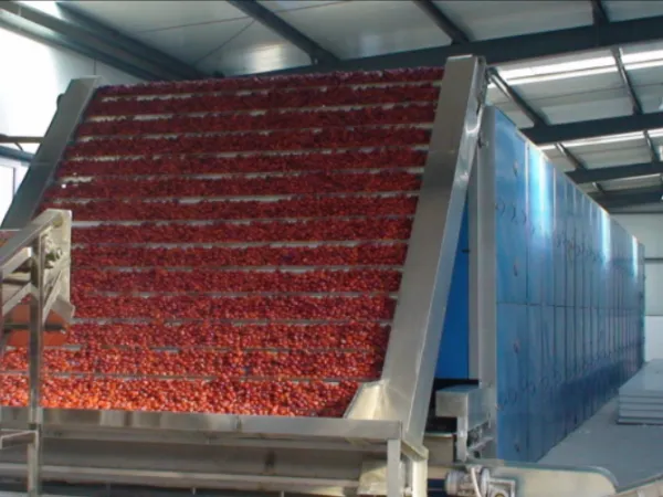 Automatic Belt Drying Processing Line photo-5