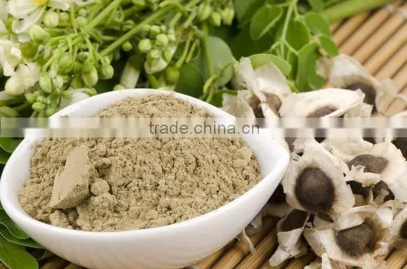 Super Organic Moringa Seed Powder Bulk Producers photo-2
