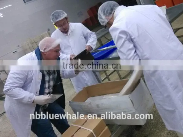 Fresh Frozen Oilfish Fillets Hot Saleing photo-4