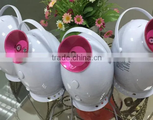 Hot Sales:Nano Ion Beauty Facial Steamer Spa Vapor Facial Steamer (hot&cool Type) photo-3