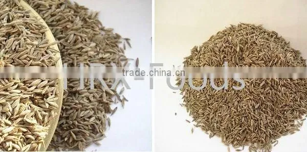 Admixture 1%max, 2010new Crops, Cumin Seed photo-5