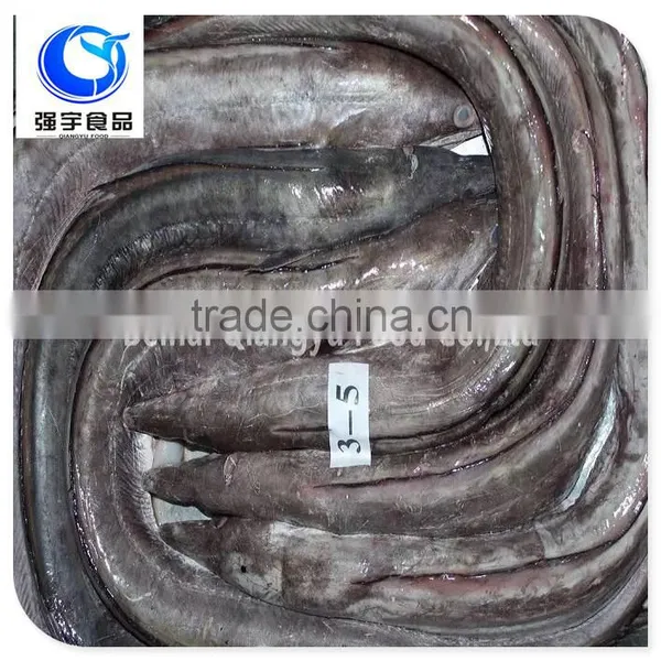 Fresh Frozen Fish Frozen Eel Fish photo-6