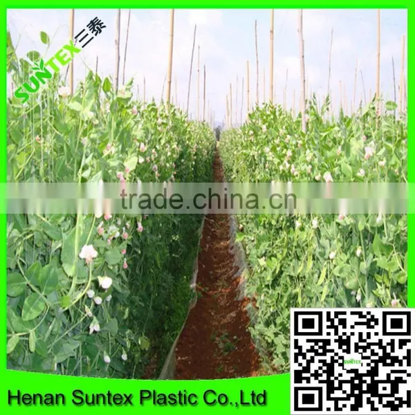 Climbing Plant Support Mesh Apollo Pea & Bean Net photo-5