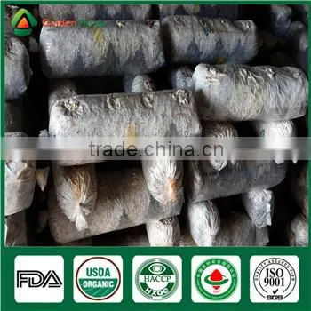 Fresh Dried Donko Shiitake Mushroom Cultivated Souce Mushroom Sawdust Spawn Log photo-4