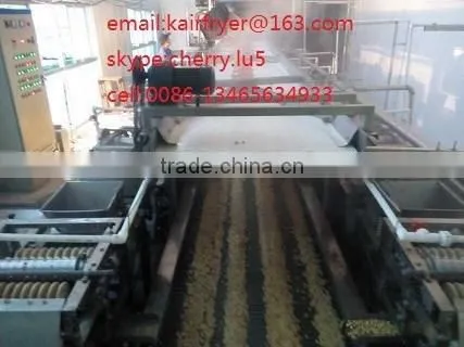Auto Matic Fired Peanut Machine /roasted and Salted Peanut Machinary photo-4