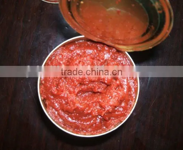 Wholesale Canned Tomato Paste From China photo-4
