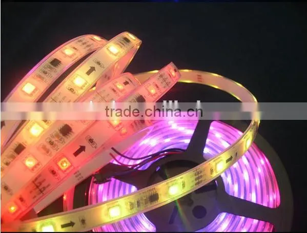 Pool Swiming Led Strip White PCB Silicon Coating 30leds/meter Outdoor Lighting Waterproof Ip68 Ws2811 Flexible Strip photo-2