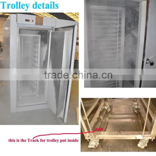 Blast Freezer for Vegetables Freezing at -45 Degree C photo-2