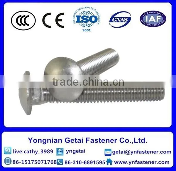Stainless Steel 304 Carriage Bolt Din603 photo-4