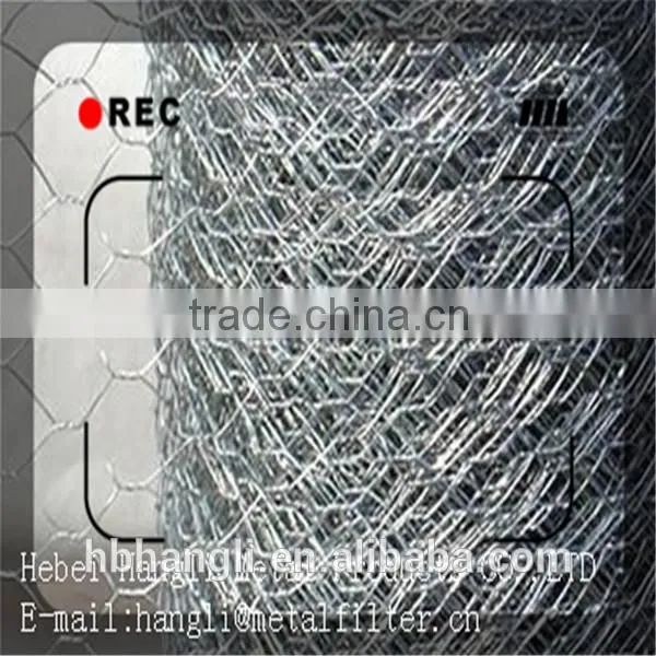 2015hot Sale China Supplier Low Price Stainless Steel Hexagonal Wire Netting photo-4