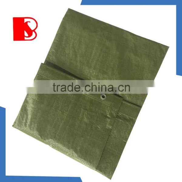 Qingzhou Baosheng Tarpaulin, 2015 Production All Kinds Tarpaulin Sizes PE Tarps China pe Tarpaulin Factory ,Pe Tarpaulin photo-2