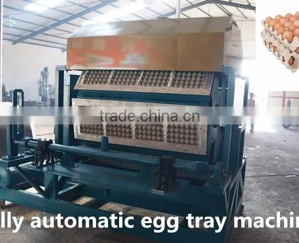 Automatic Egg Tray Machine photo-2