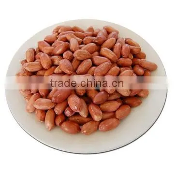 Selected Peanuts in China photo-4