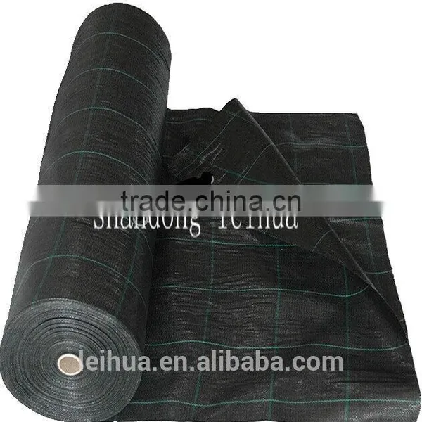 NTPEP Certafication Identified Woven Polupropylene Geotextiles photo-5