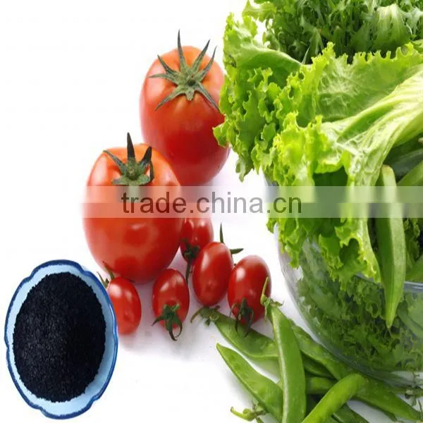 Factory Direct Supply Organic Seaweed Based Fertilizer With 100% Water Soluble photo-2