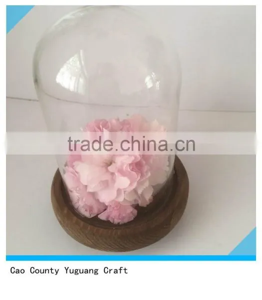 Antique Wooden View Flower Plate With Glass Bell Jars photo-2