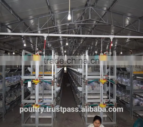 Poultry Cages photo-6