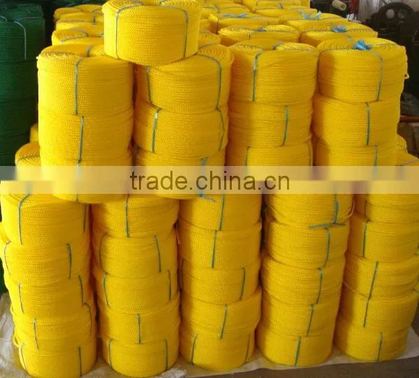 PE Soild Twist Rope photo-2