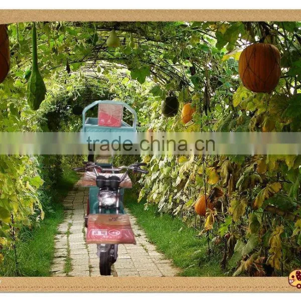 650W Farm Electric Cargo Box Tricycle/ Liftable and Lowerable photo-6