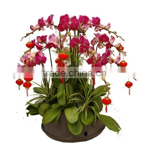 Wholesale Home Decor Table Flower Planter
