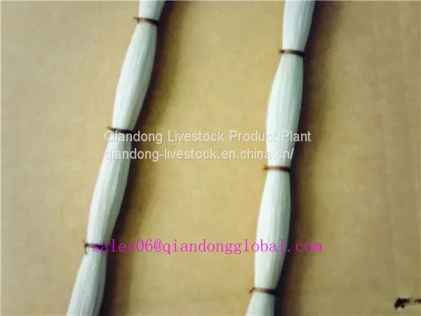 White Horse Tail Hair photo-3