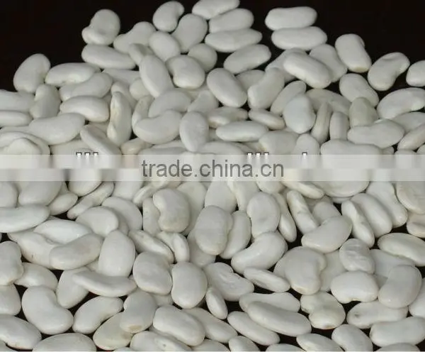 Flat White Beans