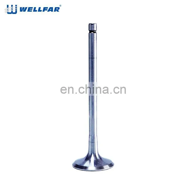 Factory High Precision Performance 0948-A9 / 0948-ED Engine Valve for PEUGEOT photo-2