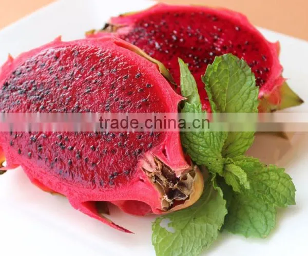 Dragon Fruit Vietnam Specialties - Fresh Dragon Fruit for Sale - Red Dragon Fruit photo-3